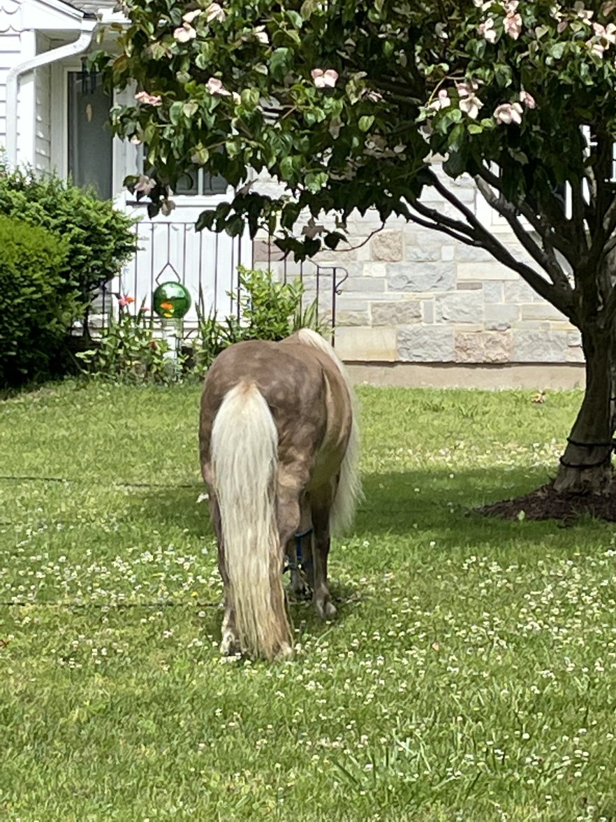 432819E8-1924-4B9C-B94C-DEB7DEB294EA.jpeg 432819E8-1924-4B9C-B94C-DEB7DEB294EA.jpeg