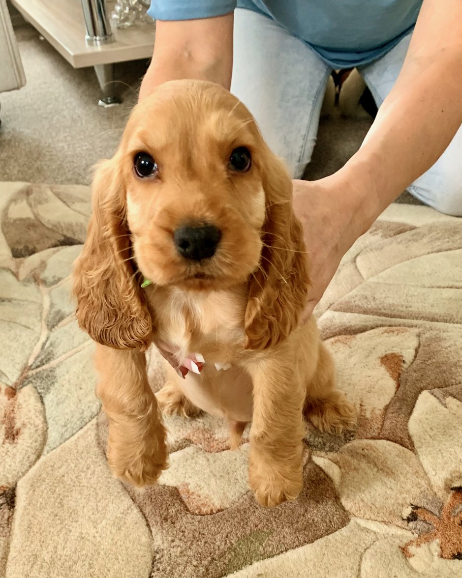 IMG_8195.jpeg IMG_8195.jpeg