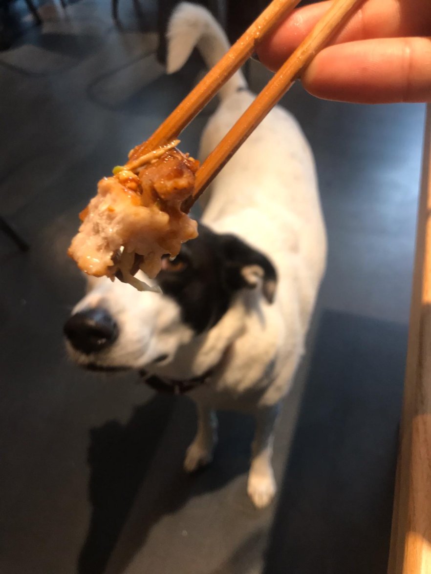 IMG-20220615-WA0031.jpg IMG-20220615-WA0031.jpg