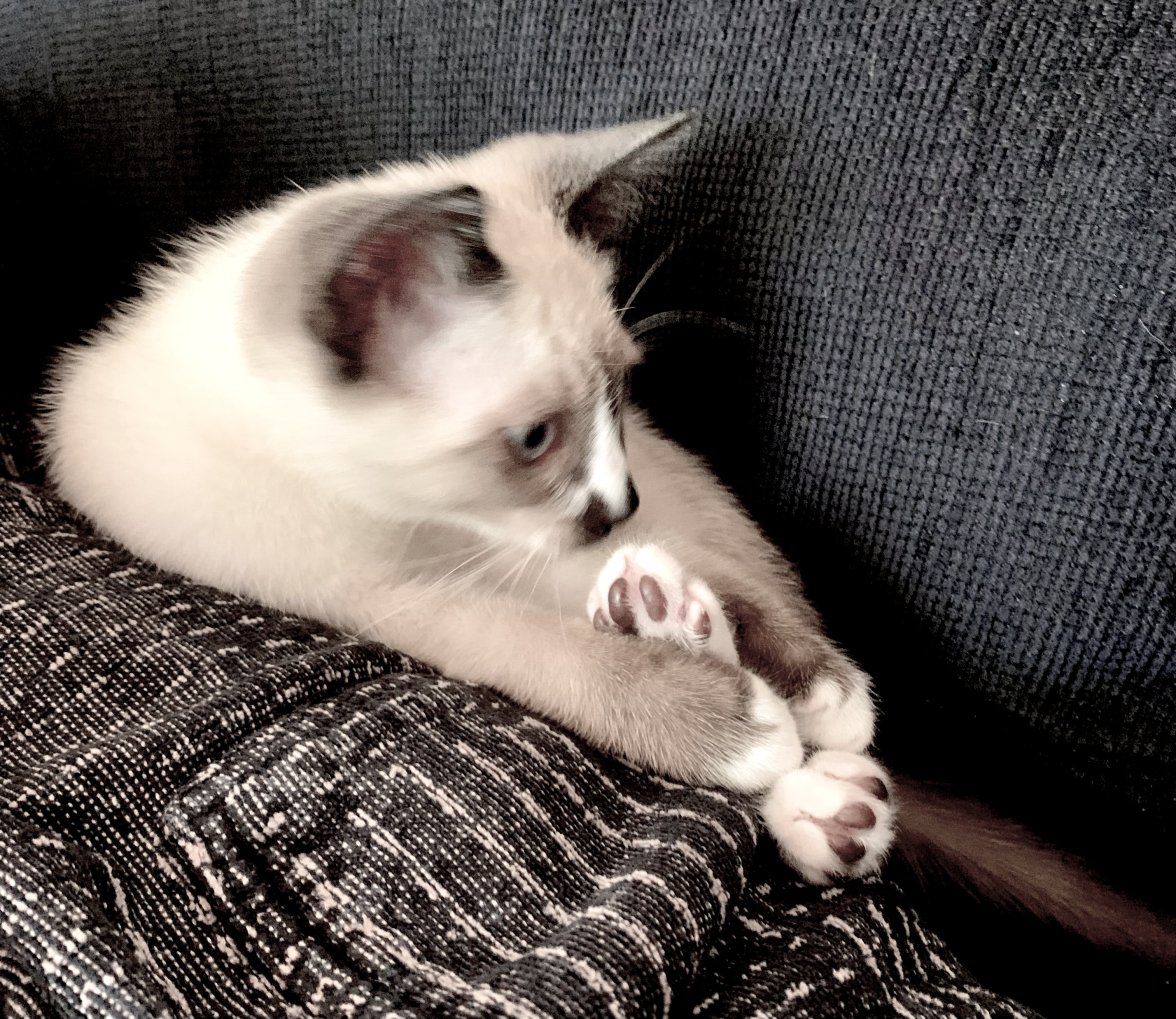 0783766D-C7E3-40AD-8271-15D422FCAD24.jpeg 0783766D-C7E3-40AD-8271-15D422FCAD24.jpeg