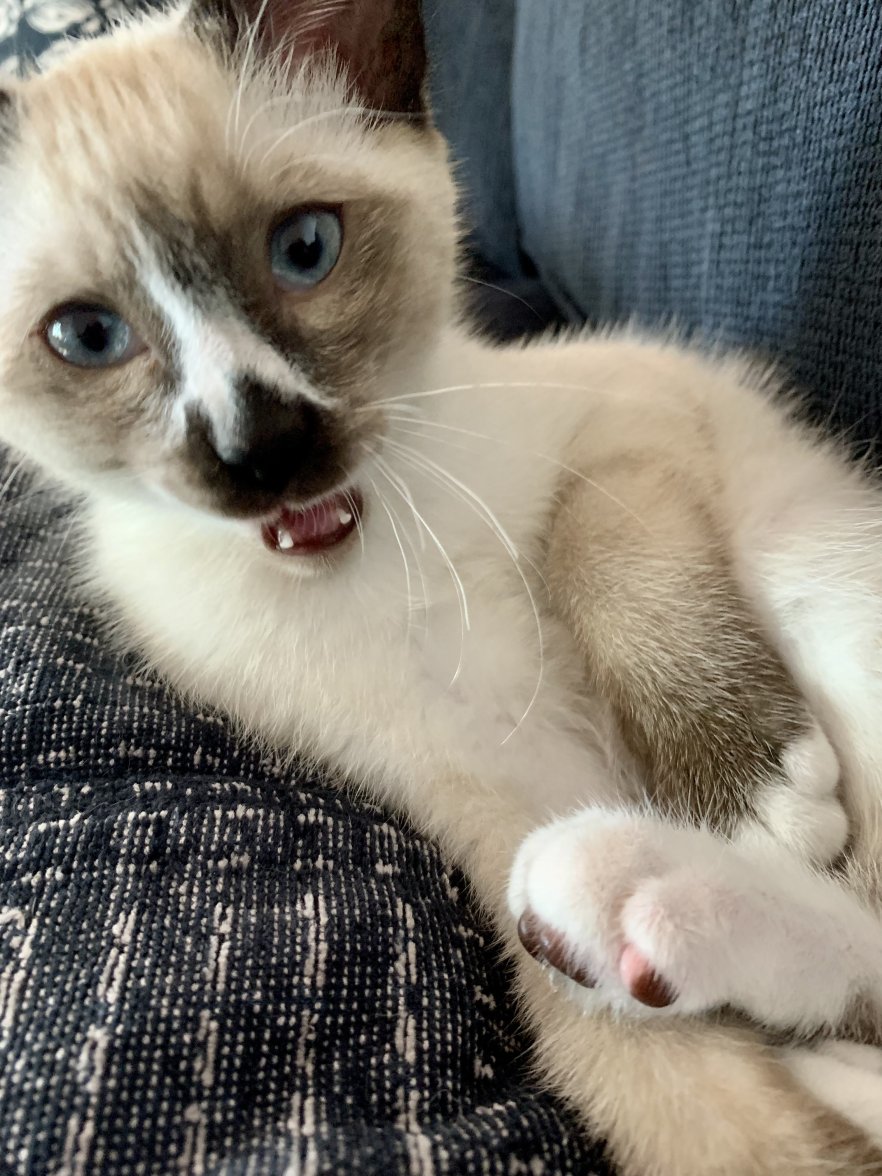 C652E7FA-FC83-4A3A-8CD6-B973D431F22E.jpeg C652E7FA-FC83-4A3A-8CD6-B973D431F22E.jpeg