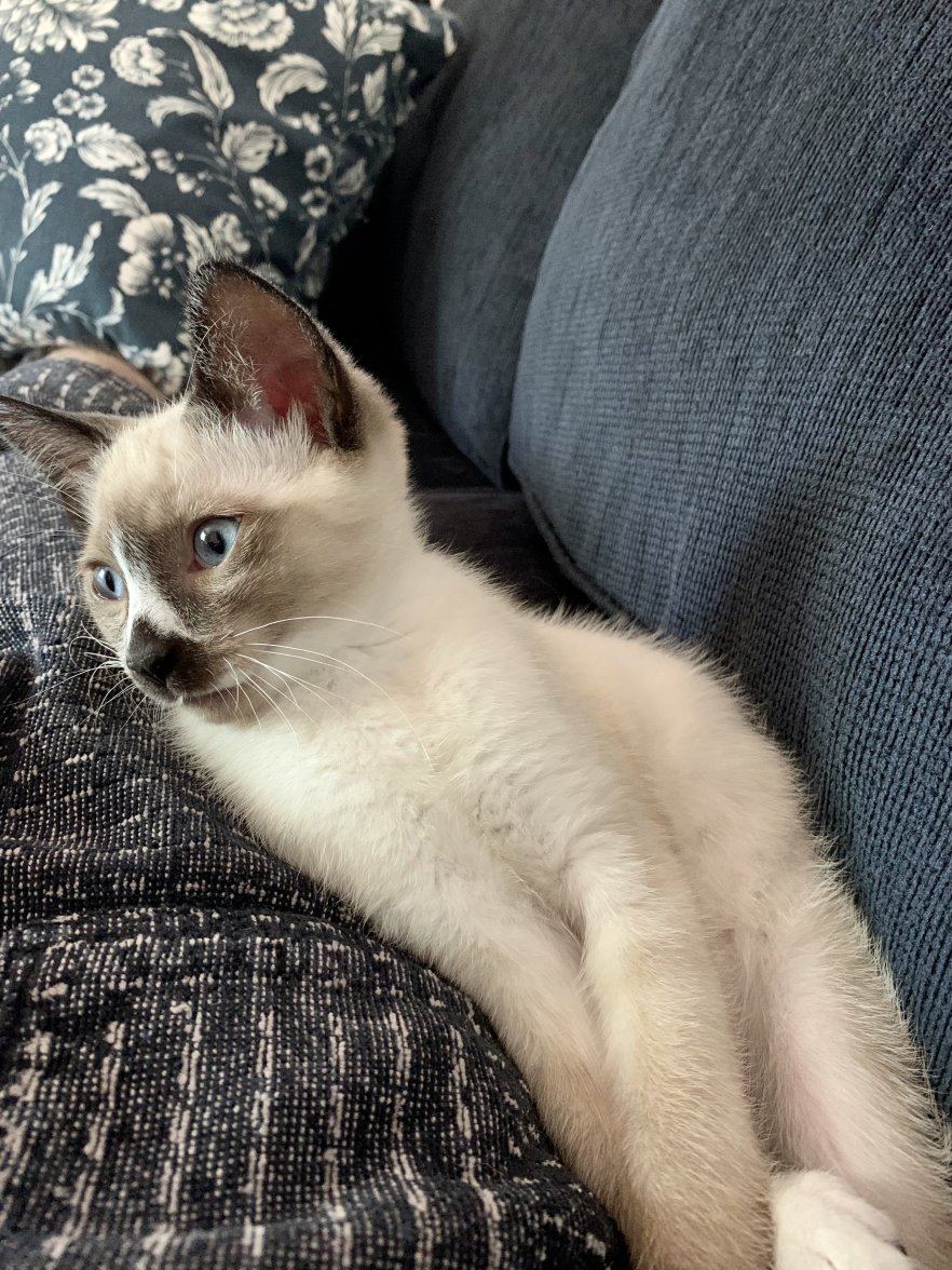 D4E2612E-4709-46D3-9973-3FAB1E94E920.jpeg D4E2612E-4709-46D3-9973-3FAB1E94E920.jpeg