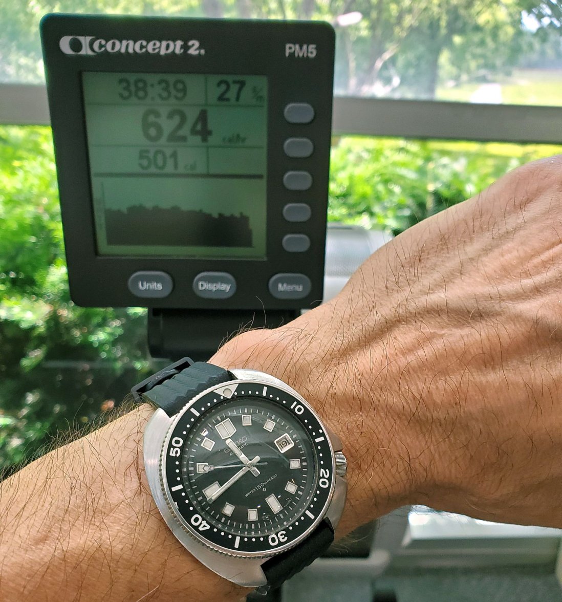 Willard ws 1 20220619_114409.jpg