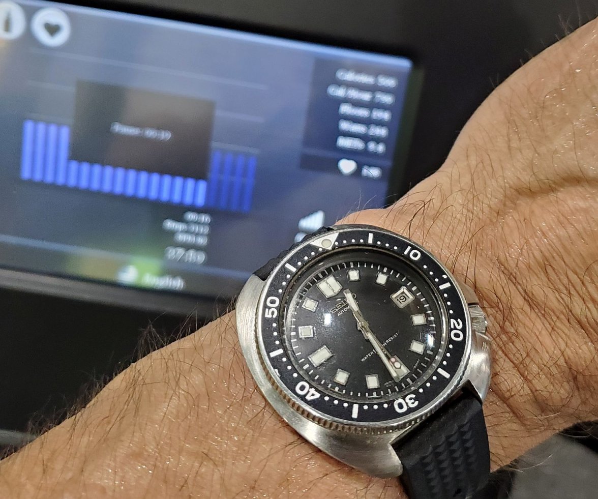 Willard ws 3 20220619_123150.jpg