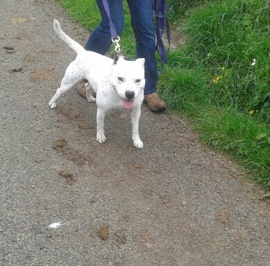 2014-04-20 12.18.13-1.jpg