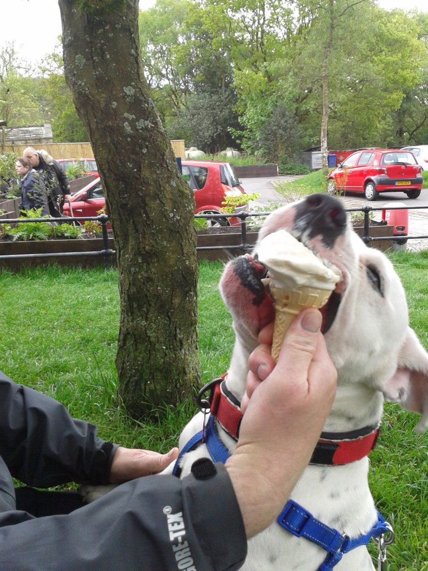 2014-05-11 14.03.46.jpg