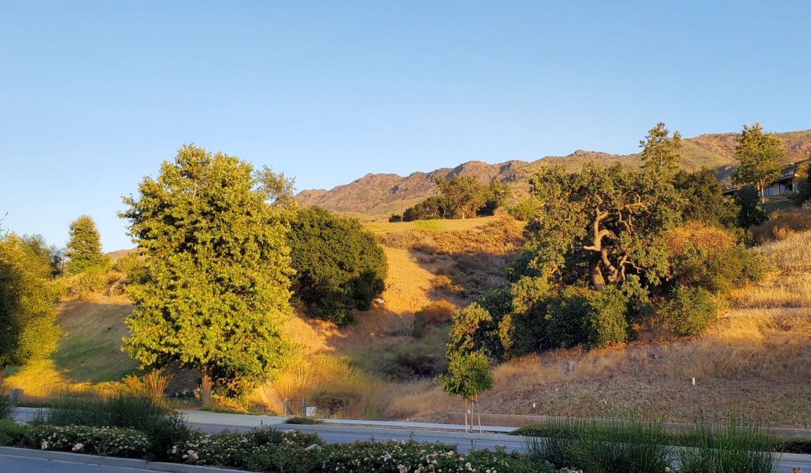 Pogue hills 20220629_193542.jpg