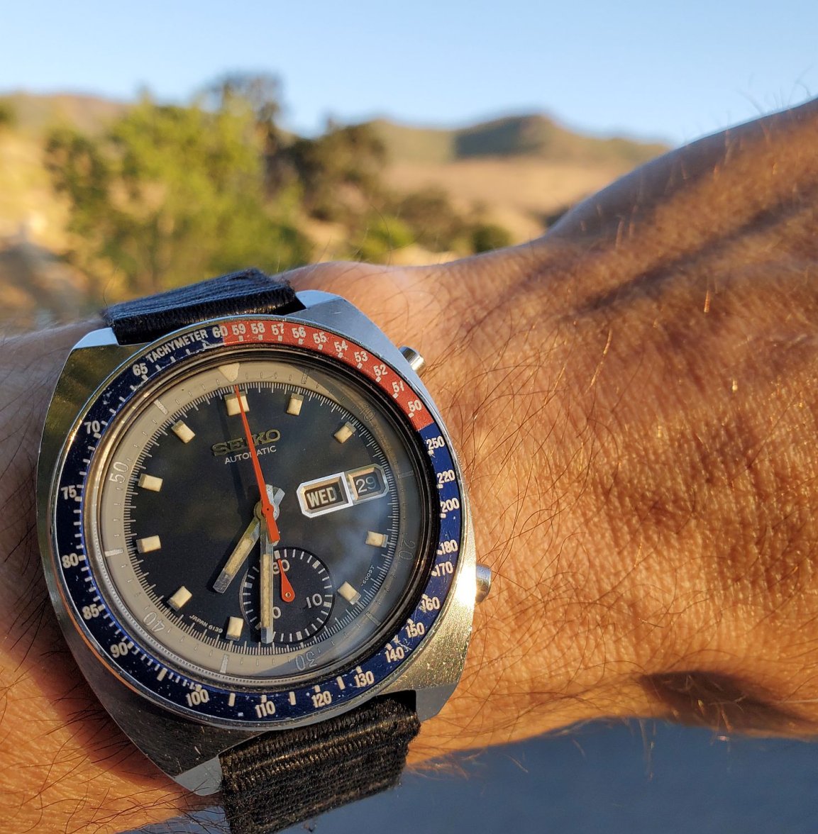 Pogue ws 4 20220629_193234.jpg