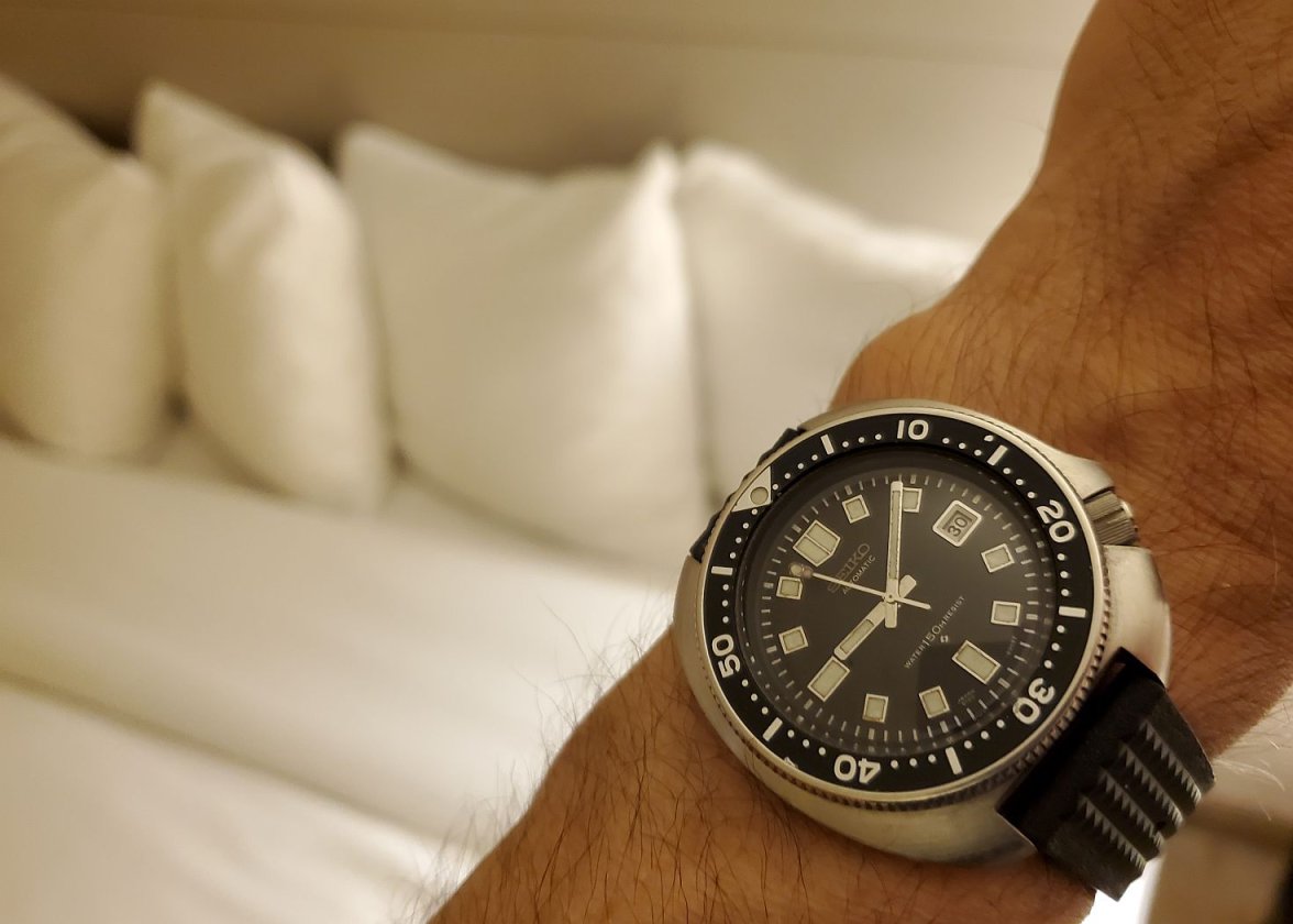 Willard ws 1 20220630_210847.jpg