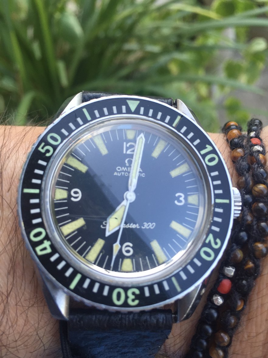 July 28 2015 011.JPG