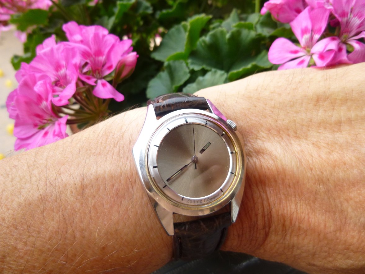 zodiac olympos (7).jpg