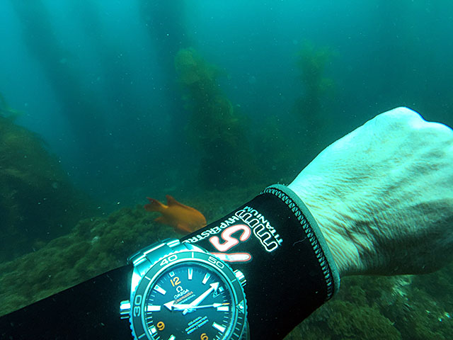 GBCS9112.JPG GBCS9112.JPG