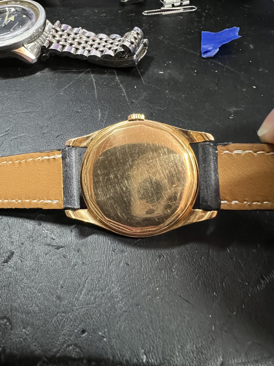 286205B9-3168-4DAF-B343-D39CA86681F2.jpeg 286205B9-3168-4DAF-B343-D39CA86681F2.jpeg