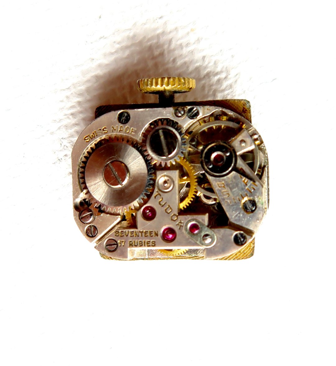 IMG_1351.JPG IMG_1351.JPG