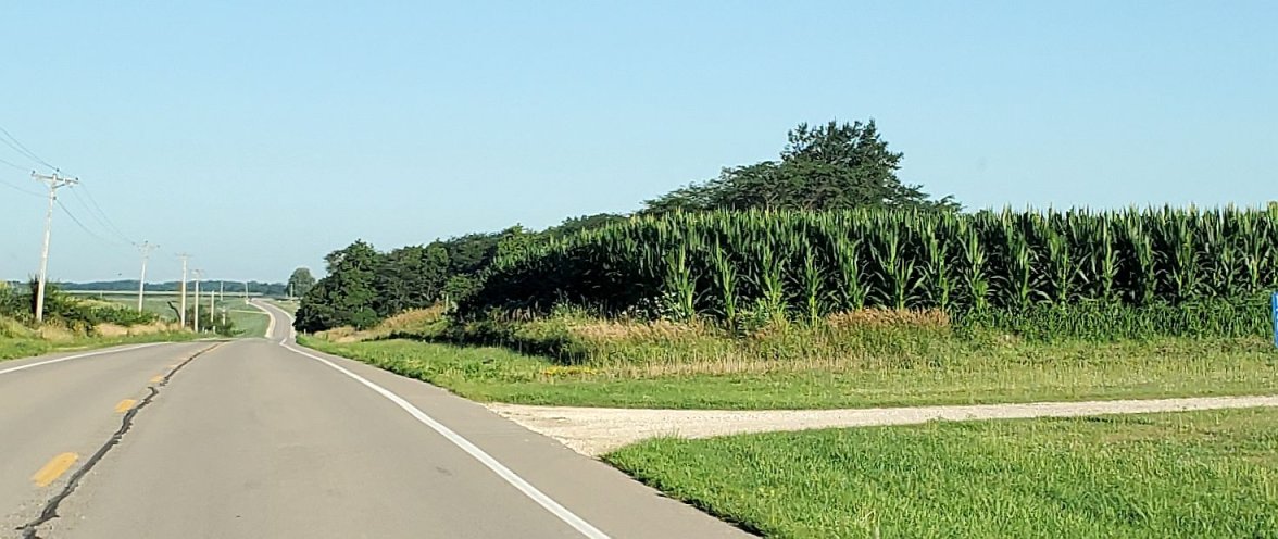 6309 20220718_072745.jpg