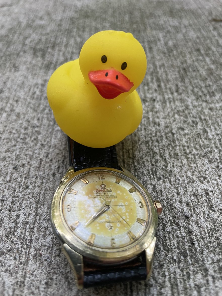 DD52FEDF-99E7-4DB6-B724-DEC811FA1A11.jpeg DD52FEDF-99E7-4DB6-B724-DEC811FA1A11.jpeg