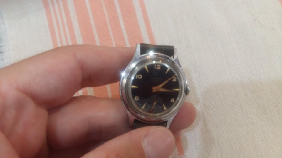 293826410_552039733318168_4789265978207155623_n.jpg 293826410_552039733318168_4789265978207155623_n.jpg