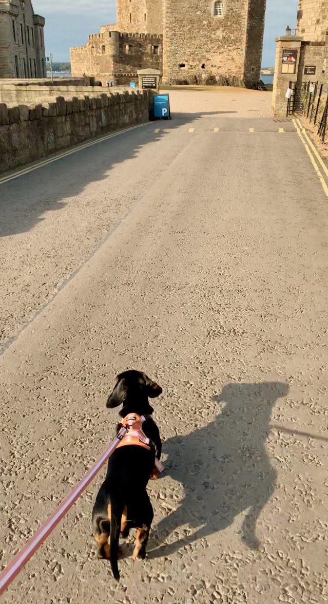 Screenshot 2022-07-21 at 21.36.55.jpeg