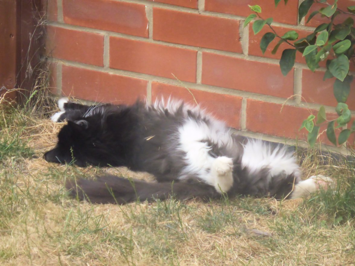 Young Girl s - Copy.jpg