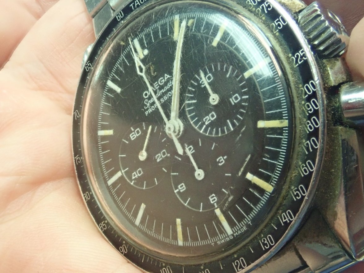 P7167387 (Large).JPG