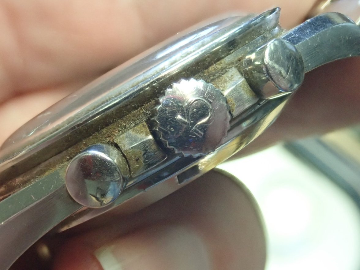 P7167389 (Large).JPG