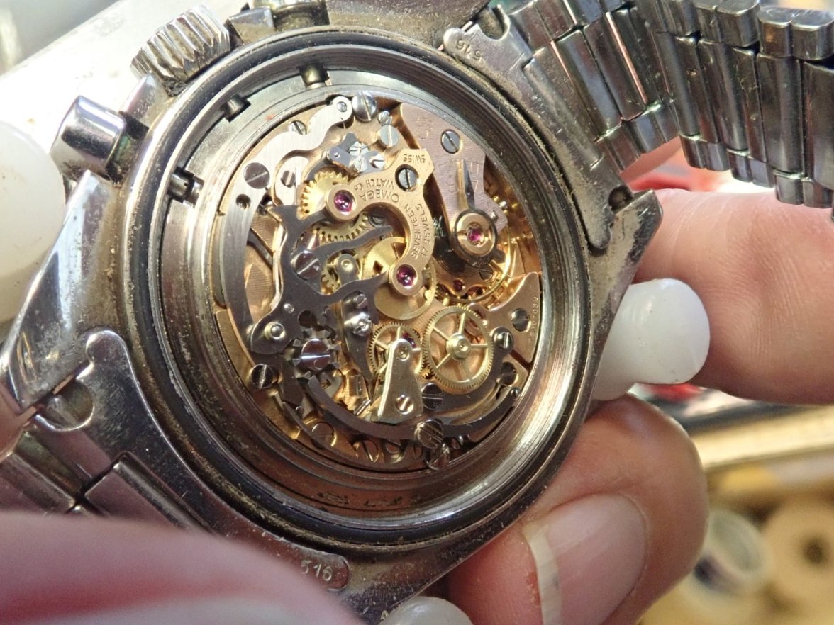 P7167395 (Large).JPG