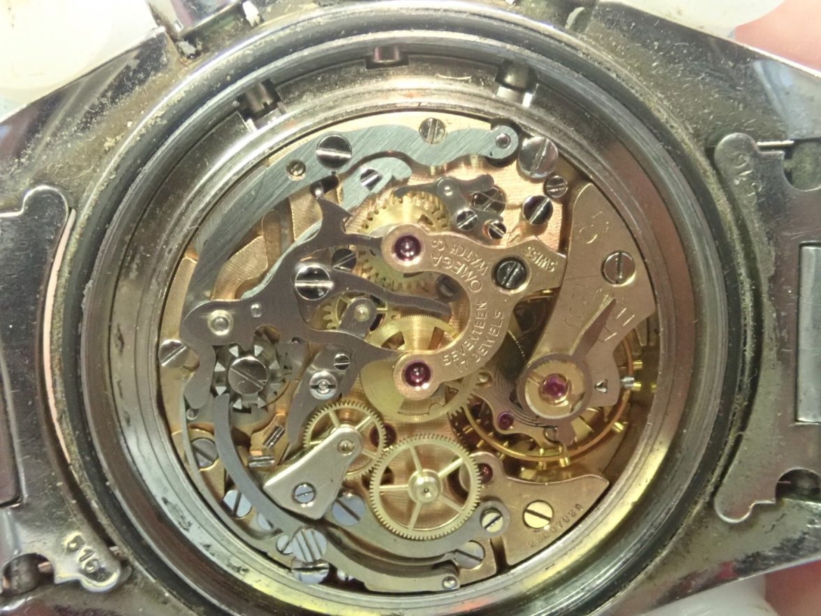 P7167397 (Large).JPG