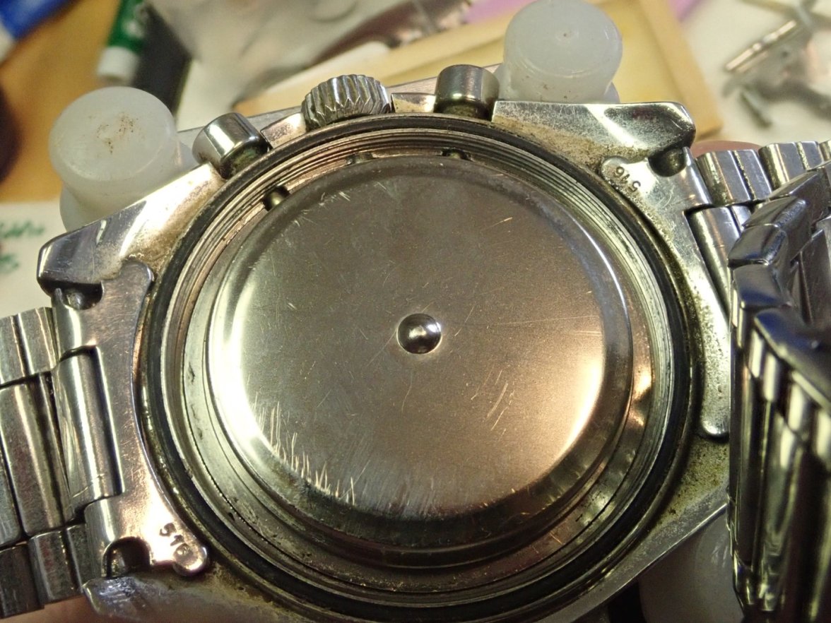 P7167399 (Large).JPG