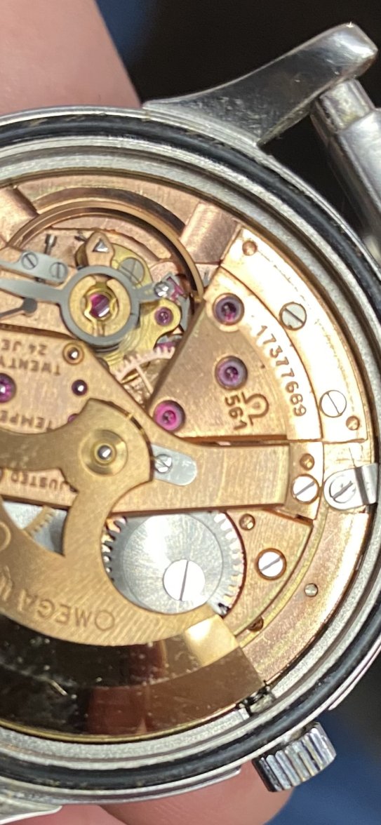 3FD23CEA-B217-473D-B5F4-EF33AE13741F.jpeg 3FD23CEA-B217-473D-B5F4-EF33AE13741F.jpeg