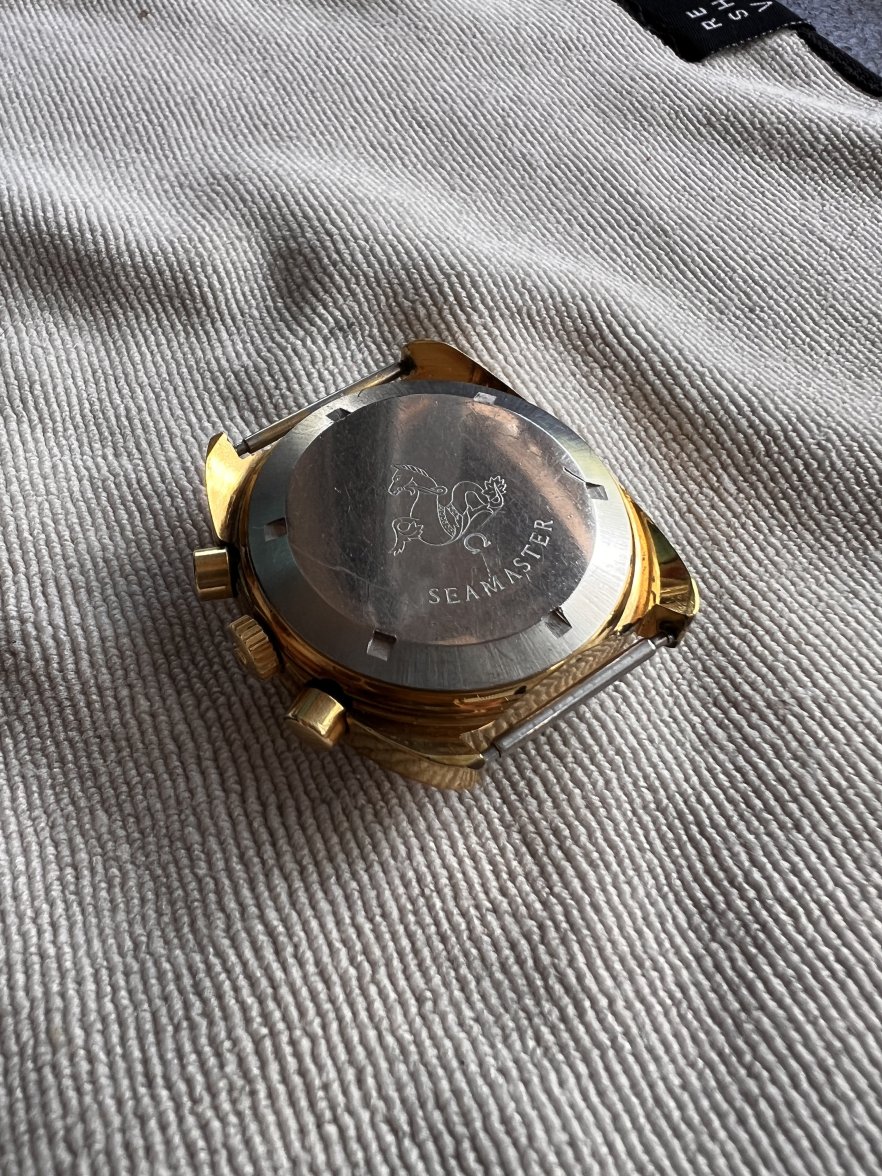 481A10AF-23A4-4701-8B47-1BD158B4655F.jpeg 481A10AF-23A4-4701-8B47-1BD158B4655F.jpeg