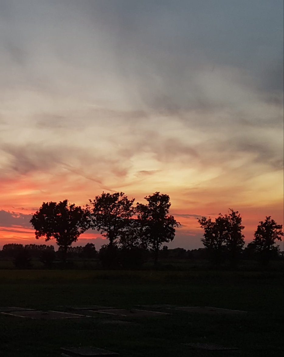 WhatsApp Image 2022-08-25 at 18.58.31 (1).jpeg