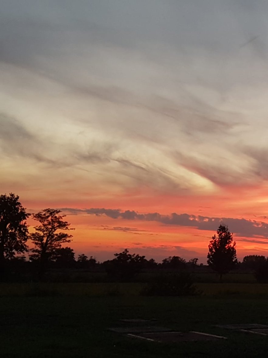 WhatsApp Image 2022-08-25 at 18.58.31.jpeg