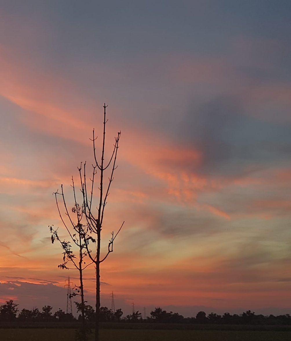 WhatsApp Image 2022-08-25 at 18.58.33 (1).jpeg