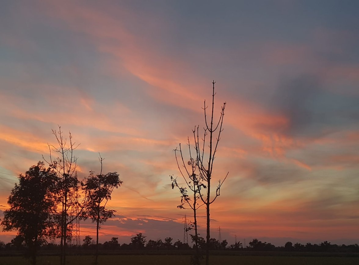 WhatsApp Image 2022-08-25 at 18.58.37.jpeg