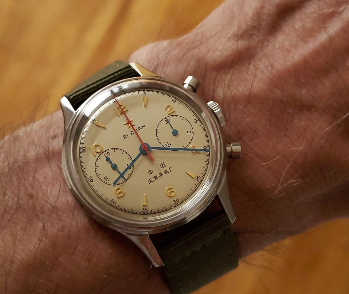 Seagull ws 2 20220828_082022.jpg