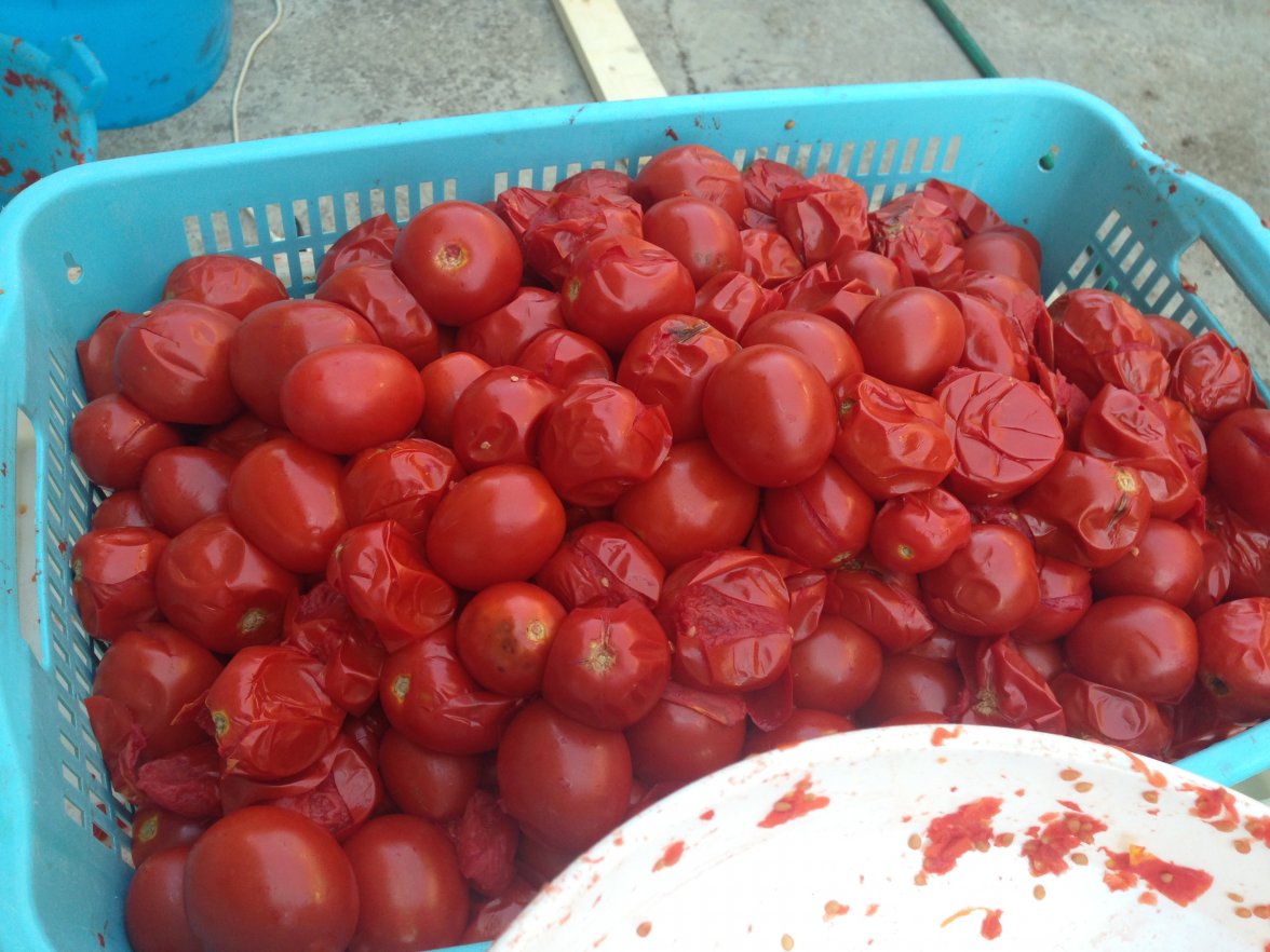 IMG_7444.JPG IMG_7444.JPG