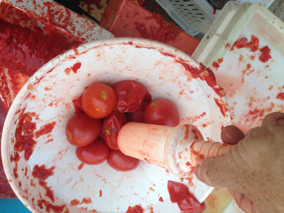 IMG_7448.jpg IMG_7448.jpg