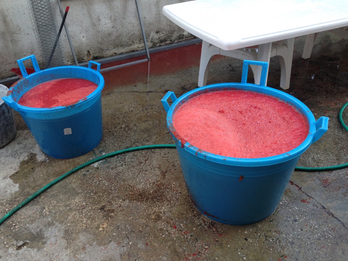 IMG_7454.JPG IMG_7454.JPG