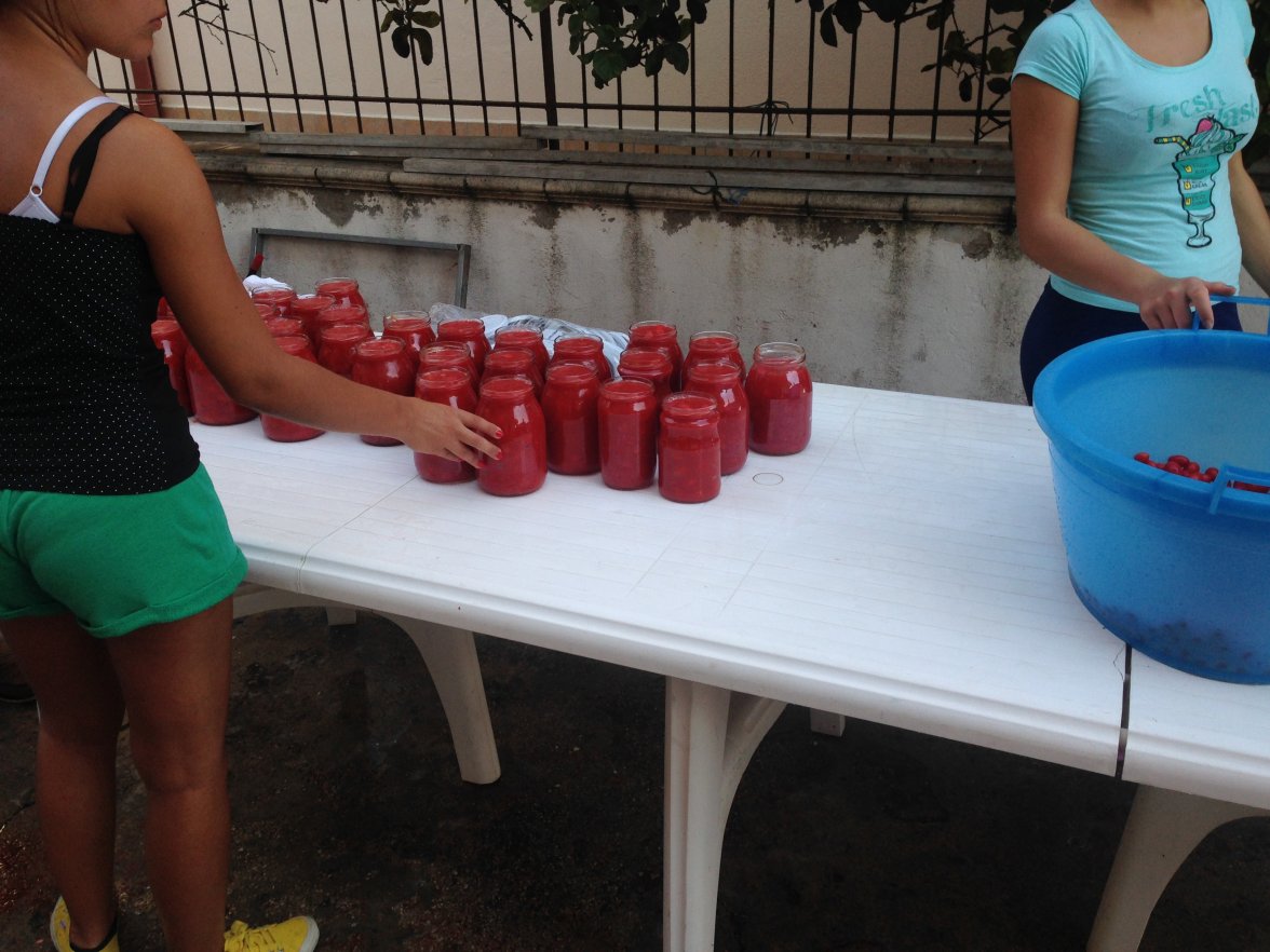 IMG_7459.JPG IMG_7459.JPG