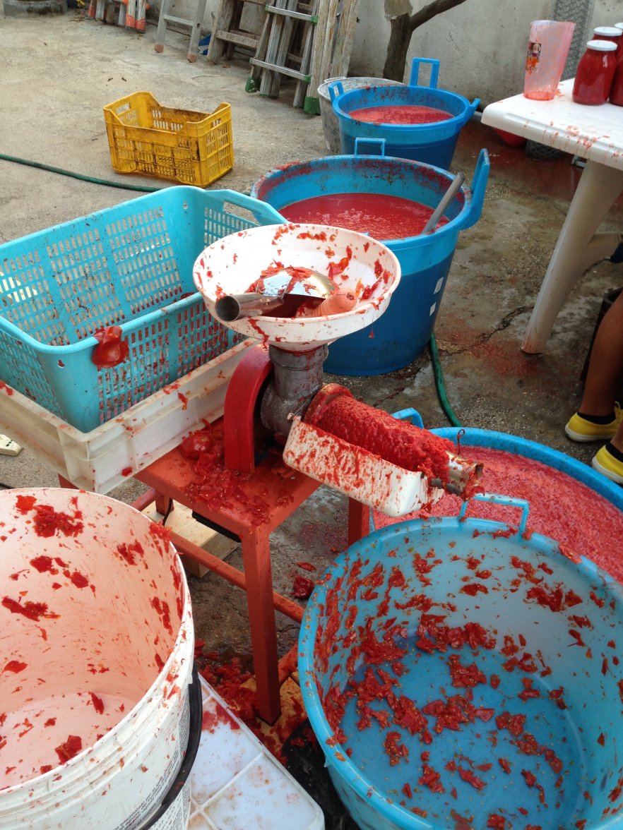 IMG_7480.jpg IMG_7480.jpg