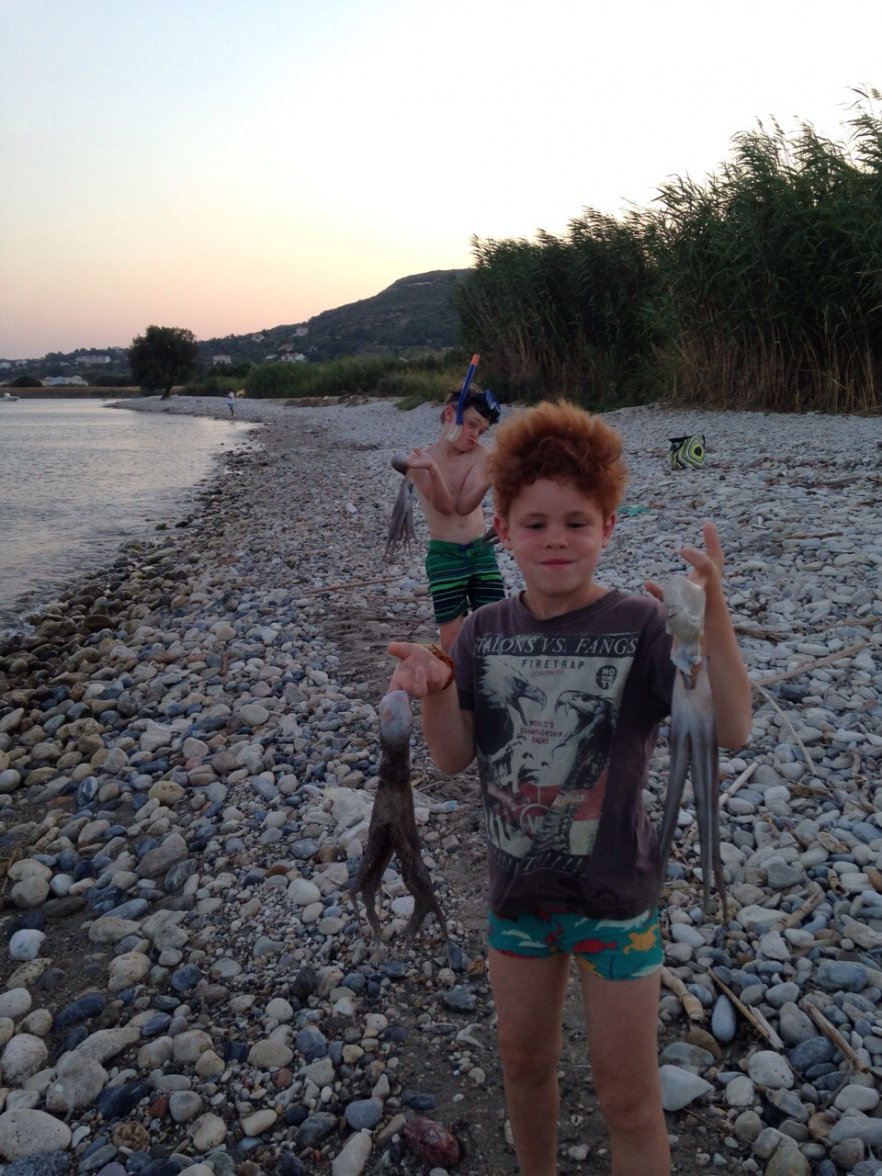 IMG-20150801-WA0009.jpg IMG-20150801-WA0009.jpg