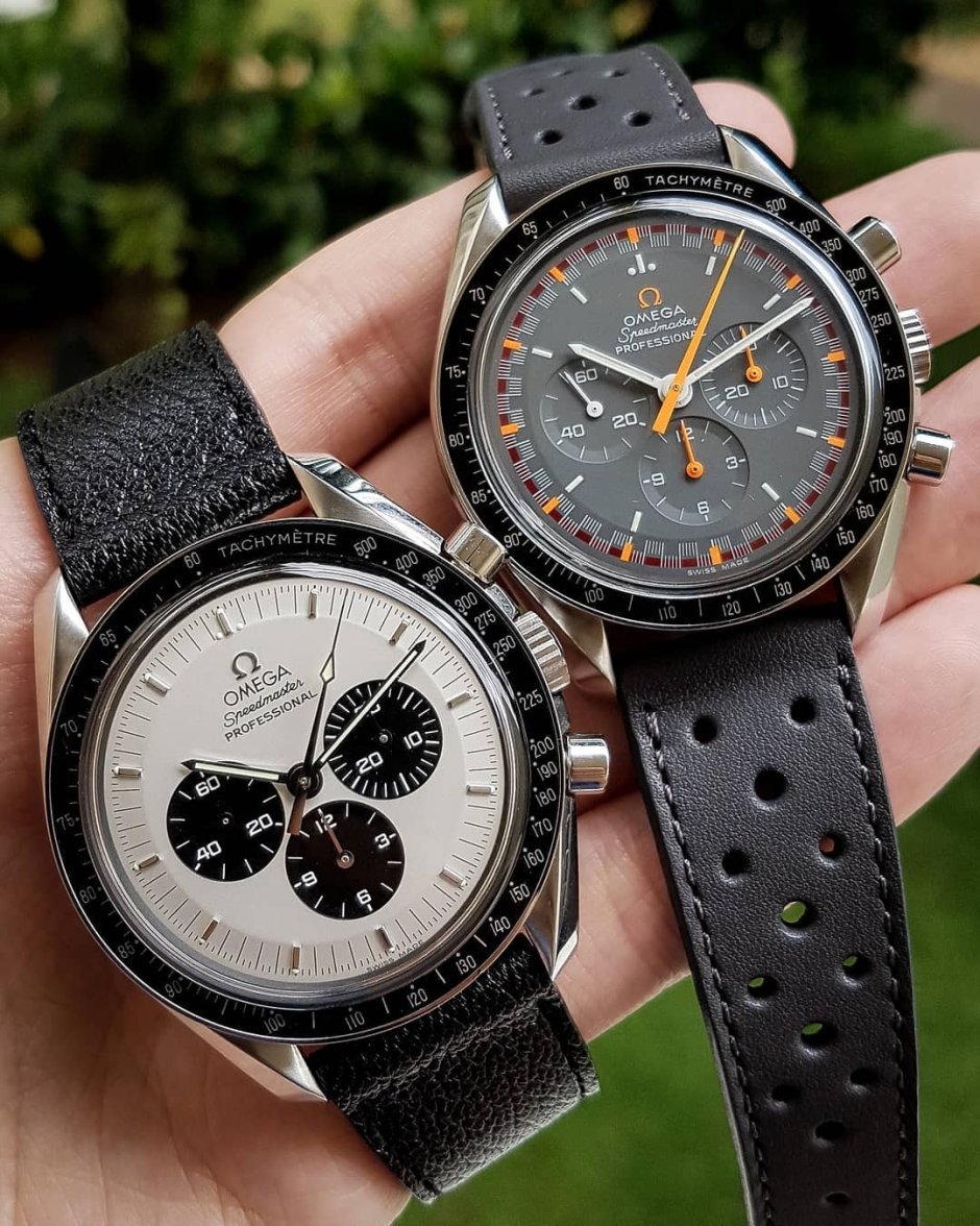 fredyspeedy-1662249323972.jpg fredyspeedy-1662249323972.jpg