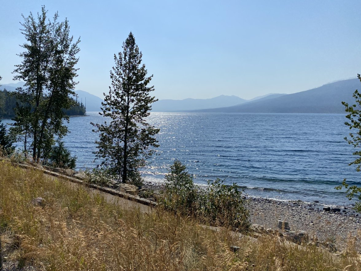 8CCB074F-6455-4069-ACCD-CA4AA4E6723F.jpeg 8CCB074F-6455-4069-ACCD-CA4AA4E6723F.jpeg