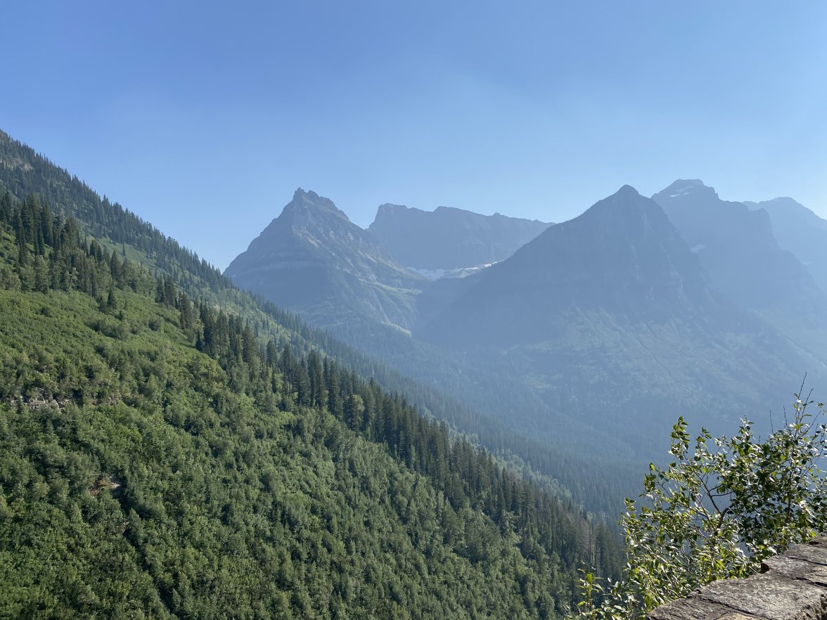 8DB011AA-975D-4D1D-A4E6-85C2C9826822.jpeg 8DB011AA-975D-4D1D-A4E6-85C2C9826822.jpeg