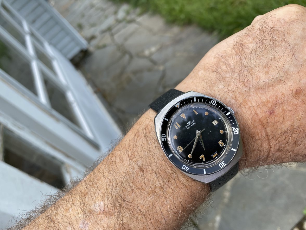 Fortis Diver.jpg