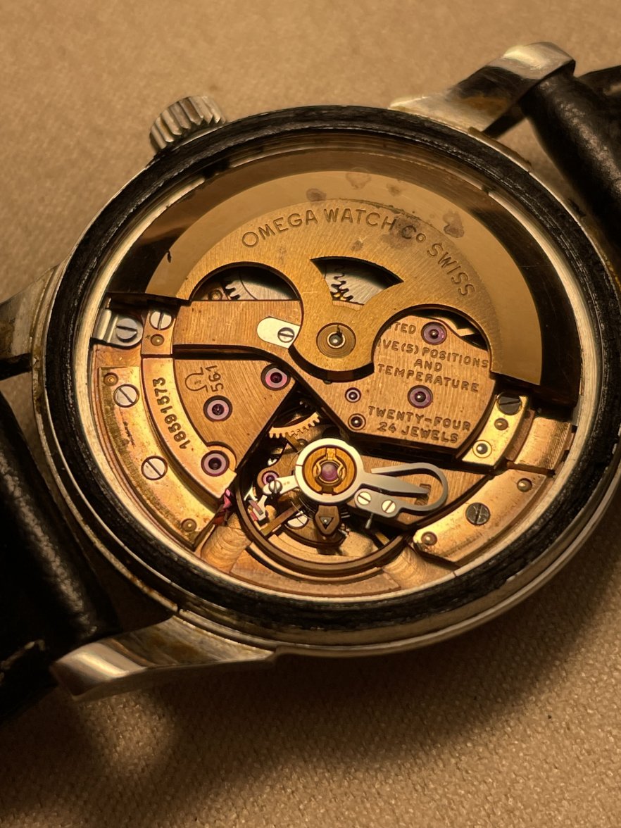 14393 movement 1.jpeg