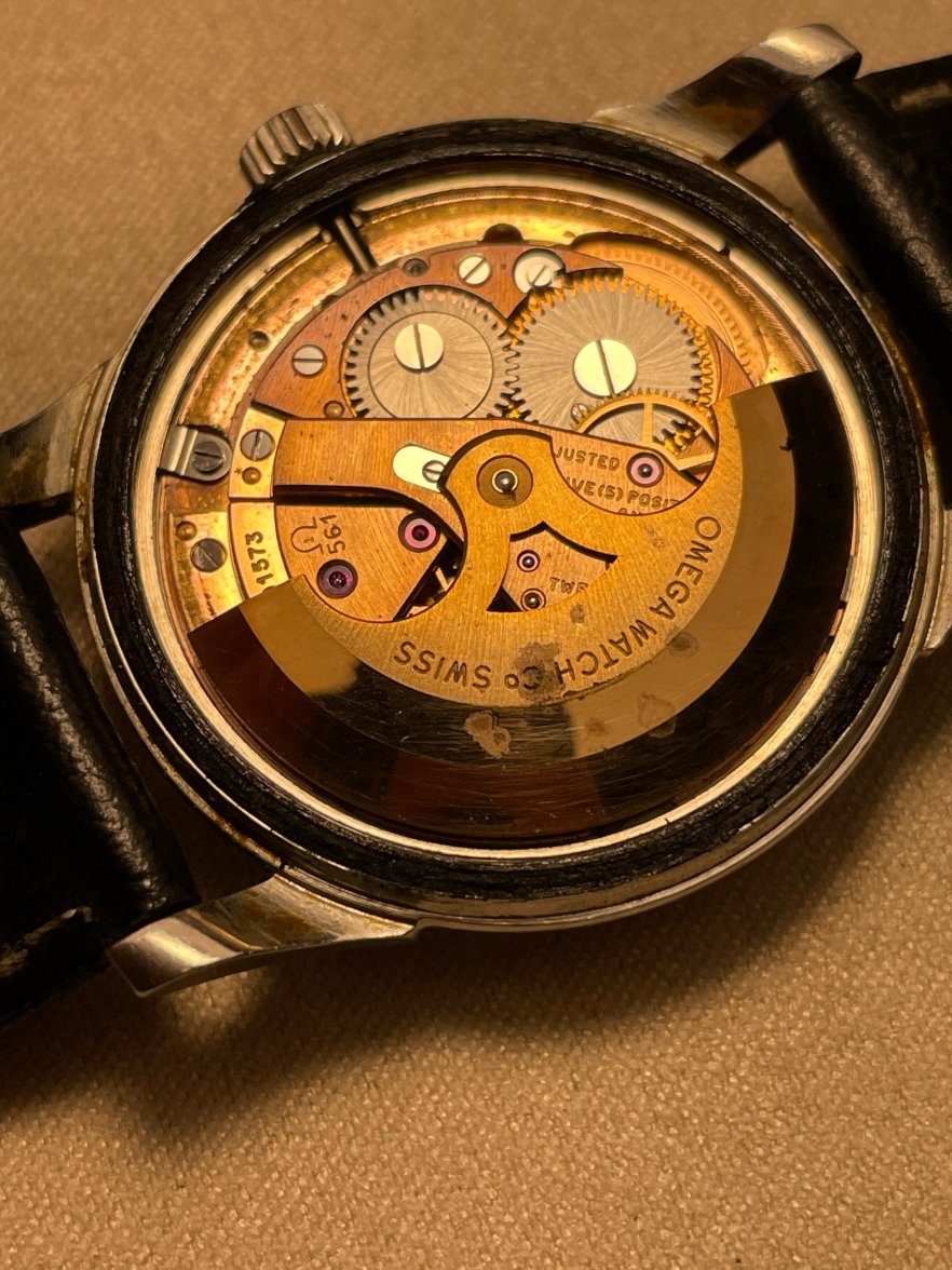 14393 movement 2.jpeg