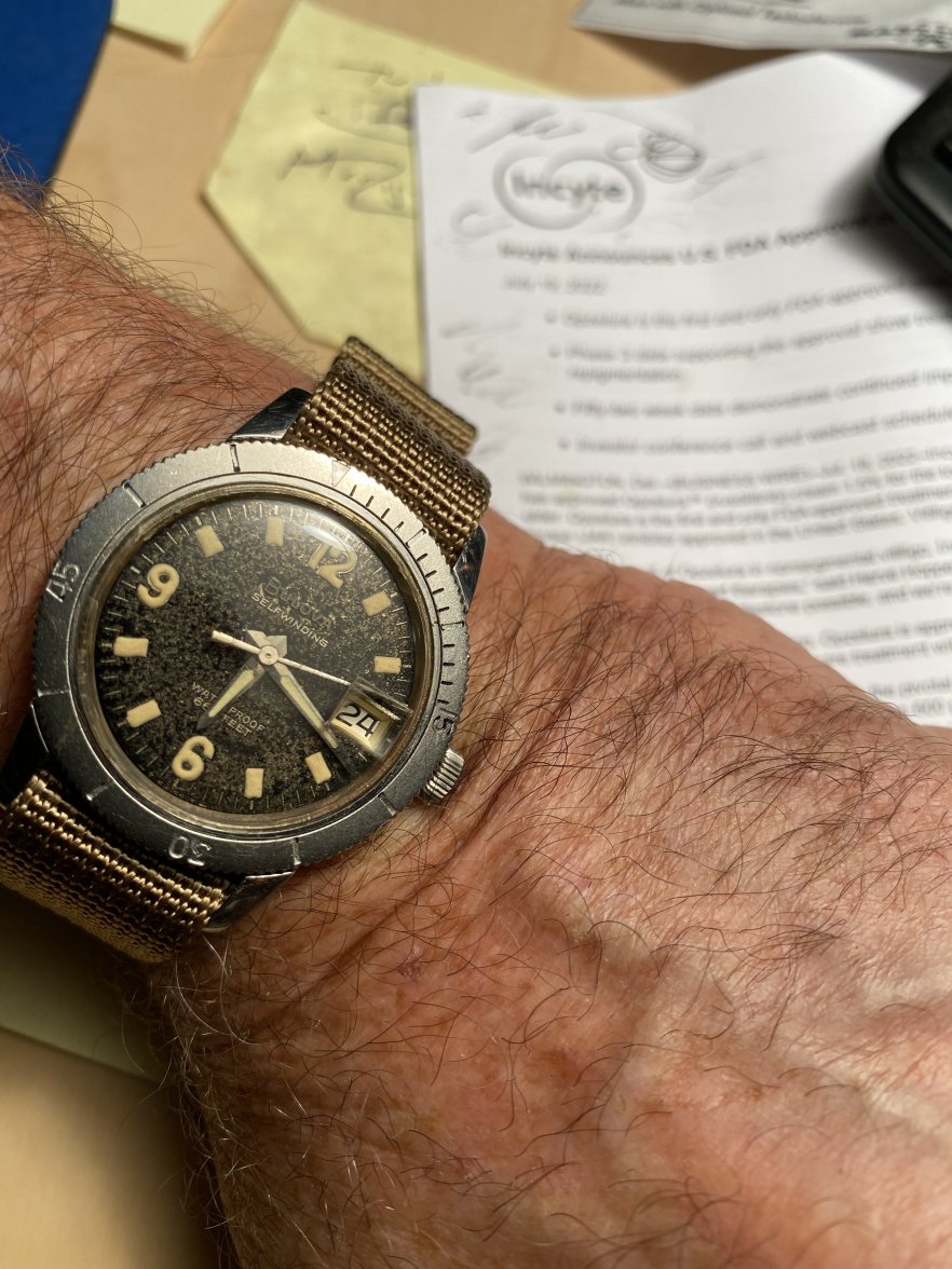 Bulove 666 diver.jpg