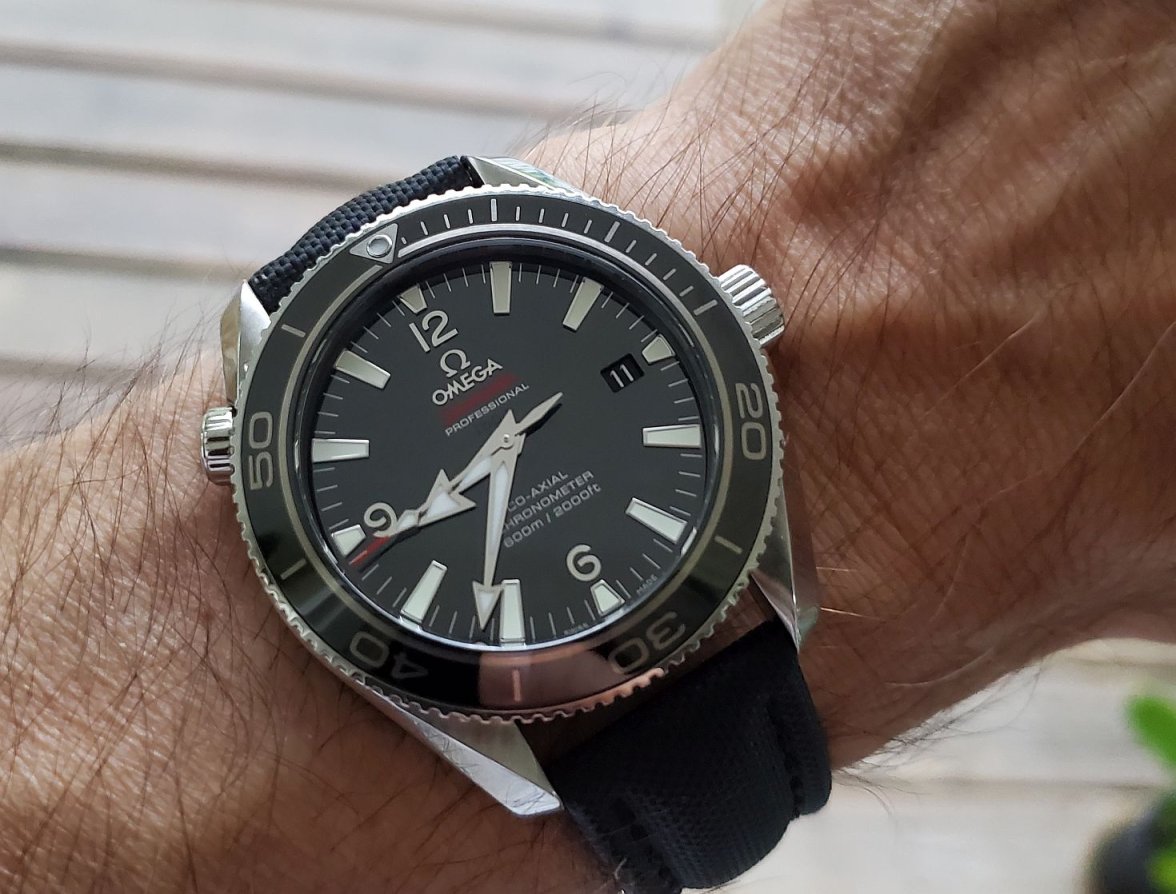 POLM ws 1 20220911_083654.jpg