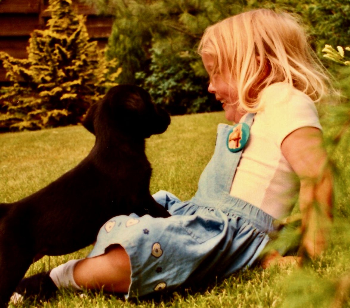 Screen Shot 2018-04-03 at 12.26.26.jpeg